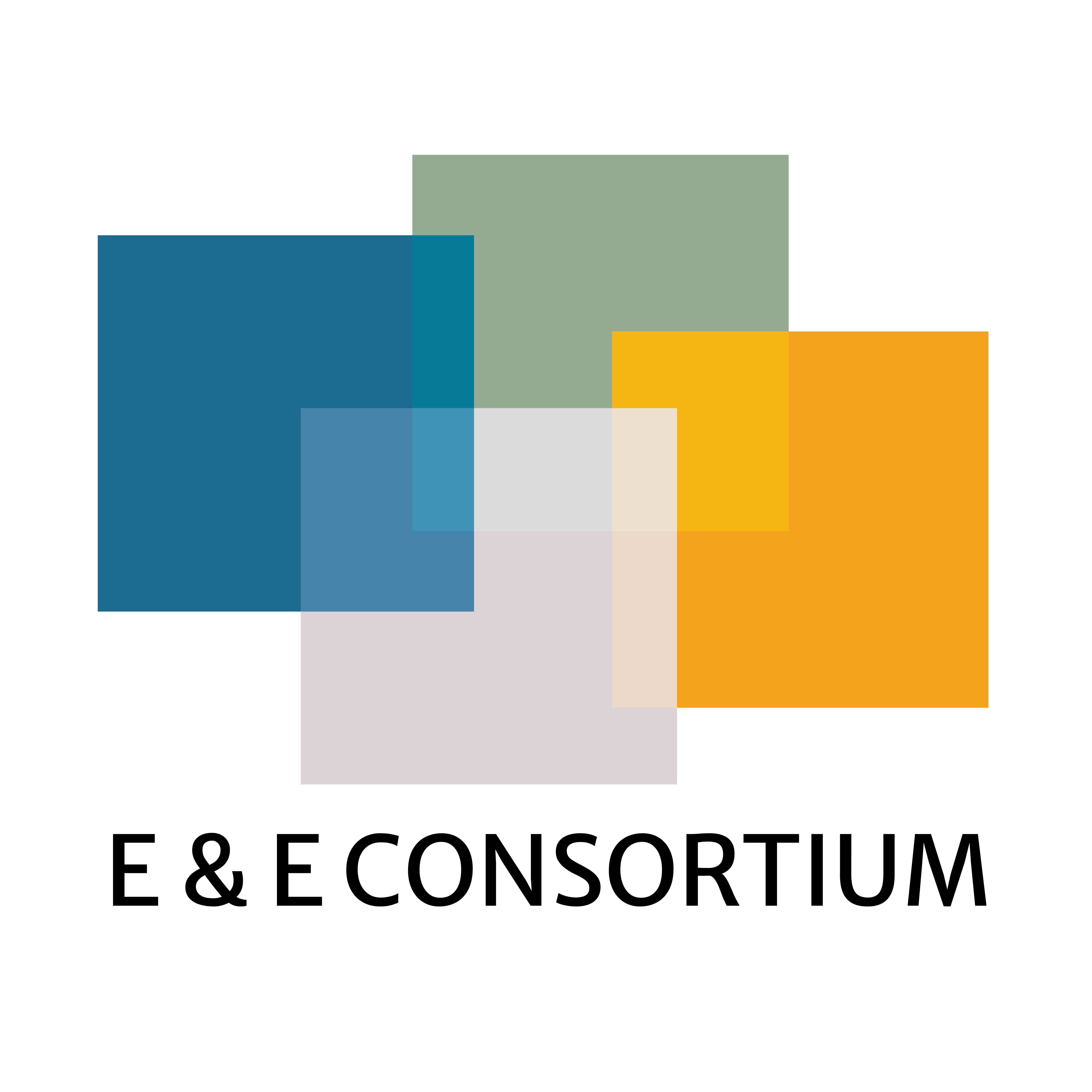 Silver Sponsor: E & E Consortium LLC